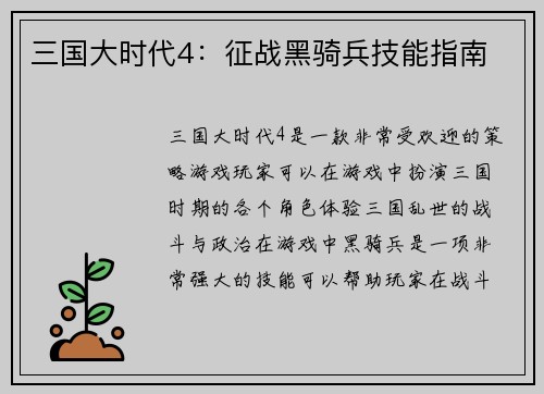 三国大时代4：征战黑骑兵技能指南